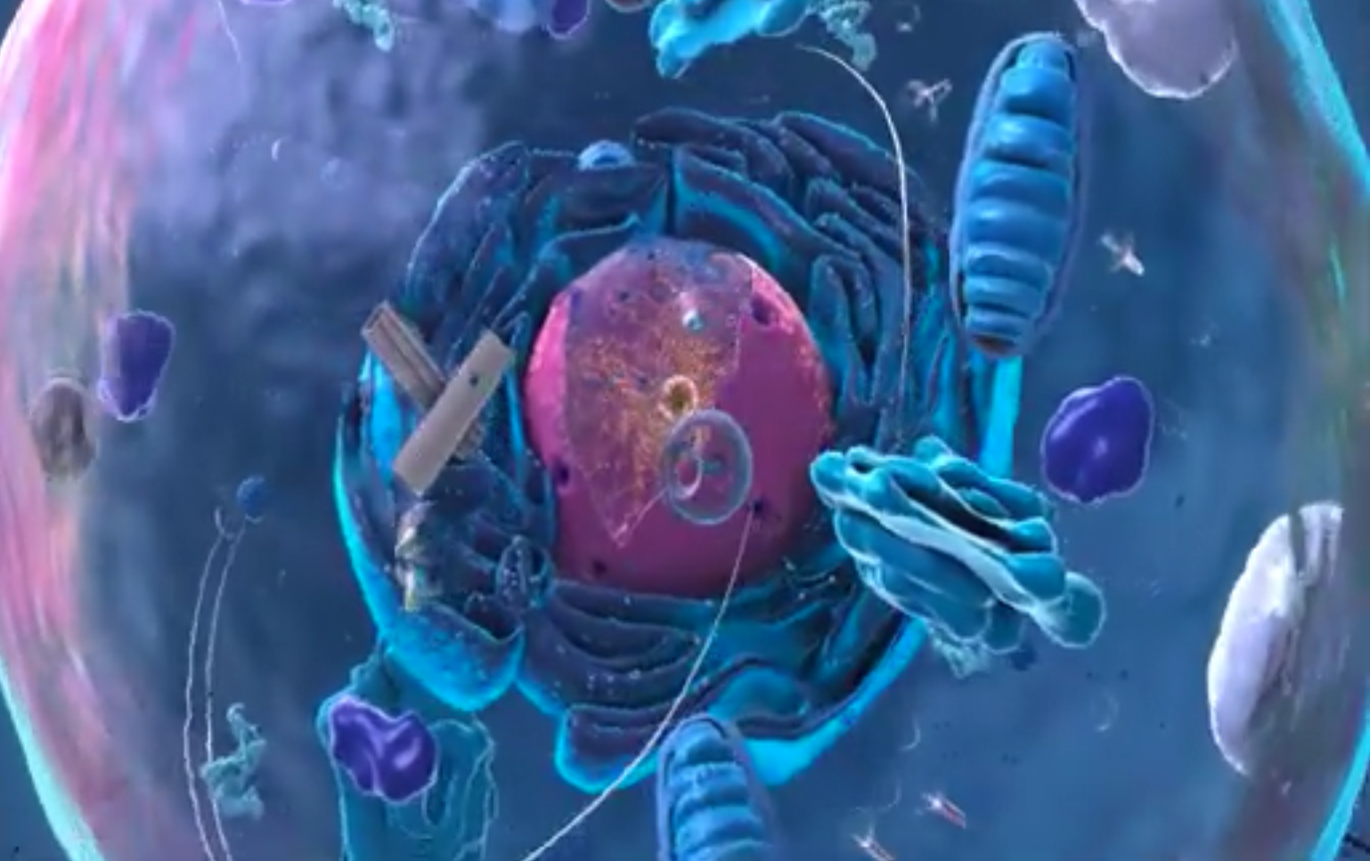 Using Virtual Reality to Understand Disease