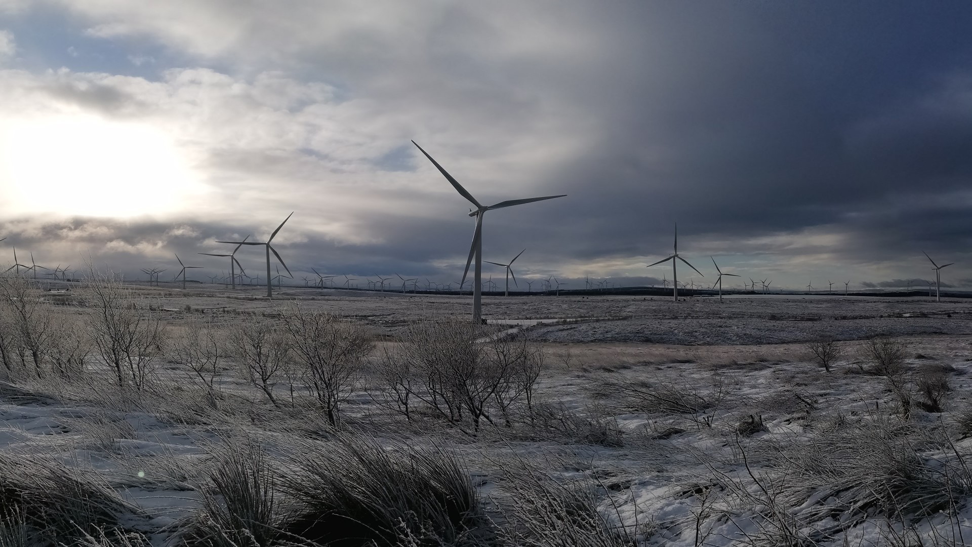 Generating Electricity at Whitelee Windfarm